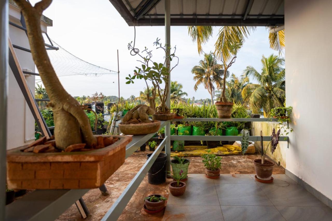 Homested Homestay Fort Kochi מראה חיצוני תמונה